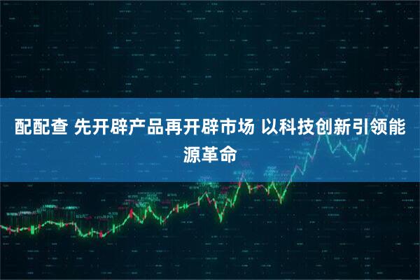 配配查 先开辟产品再开辟市场 以科技创新引领能源革命