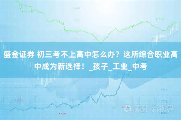 盛金证券 初三考不上高中怎么办?这所综合职业高中成为新选择!_孩子_工业_中考
